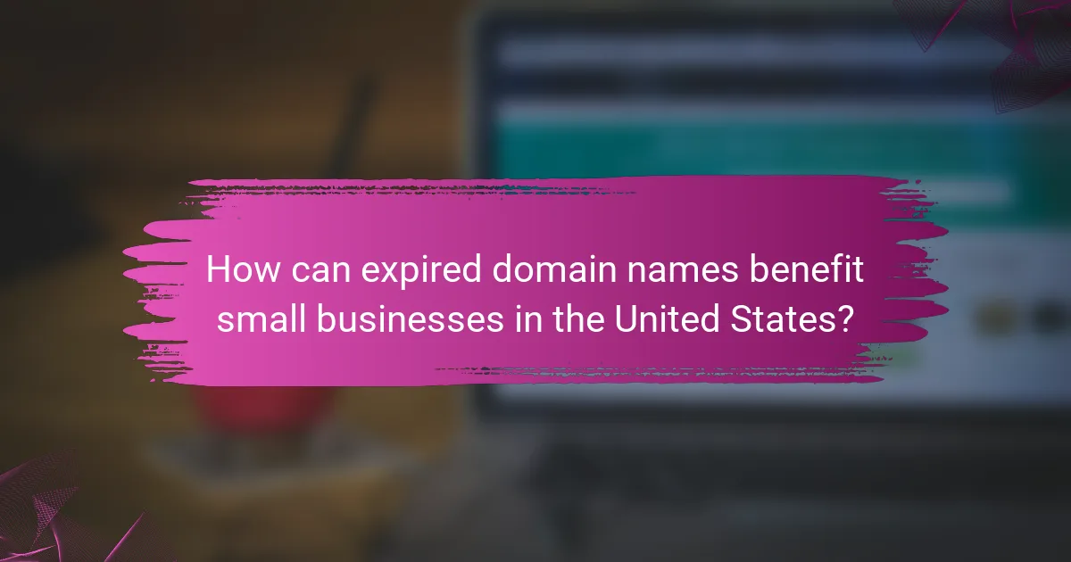 How can expired domain names benefit small businesses in the United States?