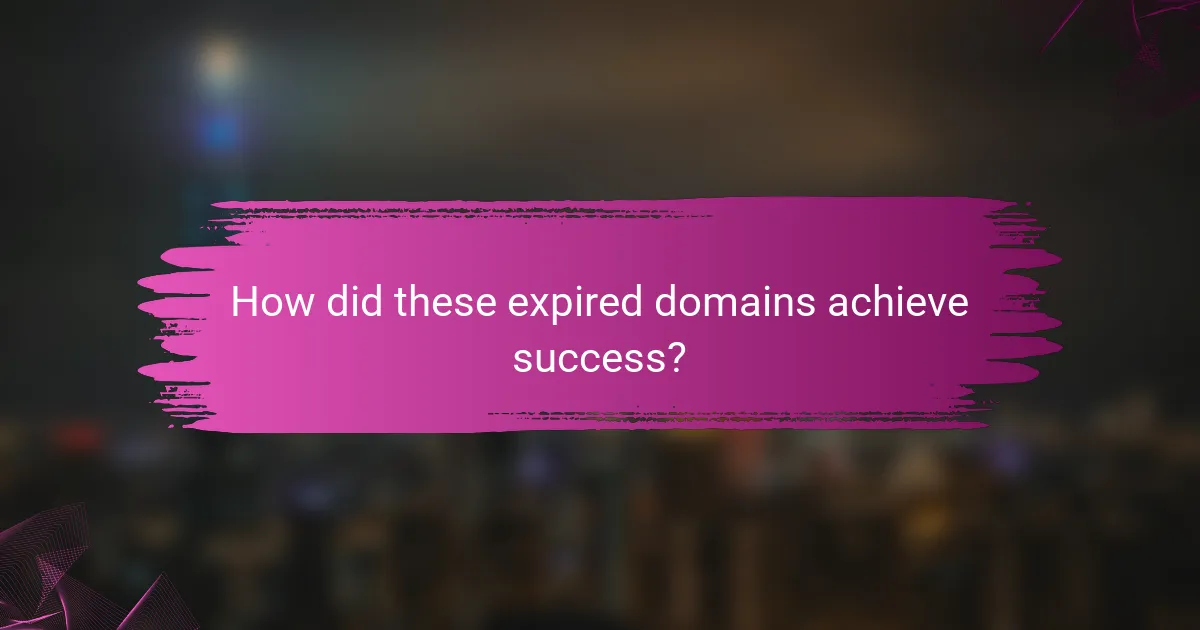 How did these expired domains achieve success?