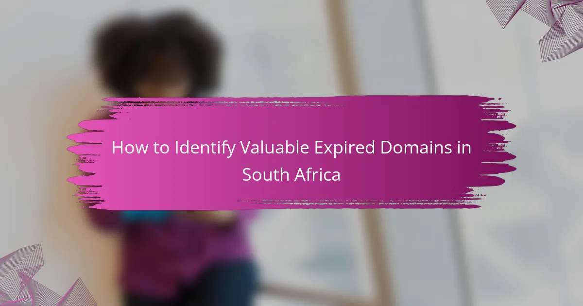 How to Identify Valuable Expired Domains in South Africa