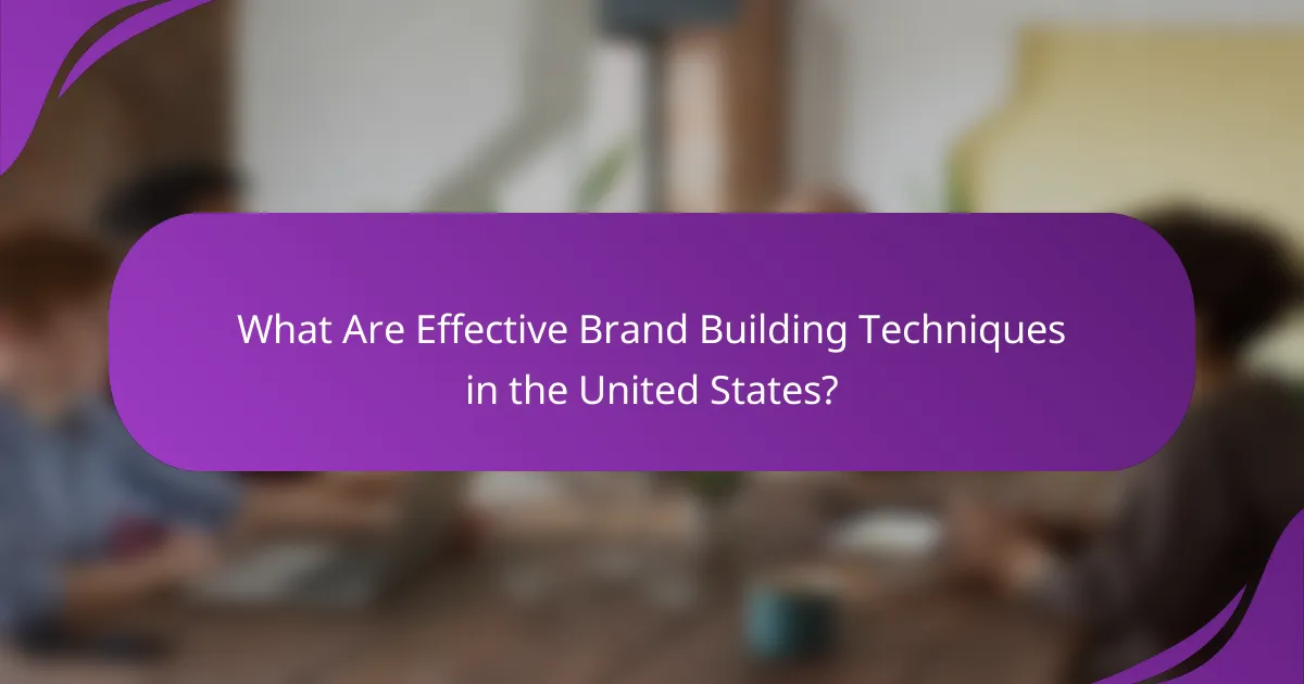 What Are Effective Brand Building Techniques in the United States?