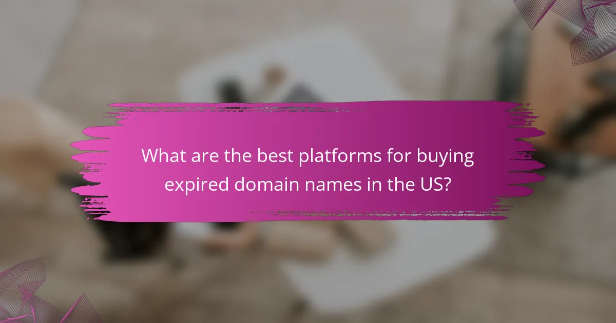 What are the best platforms for buying expired domain names in the US?