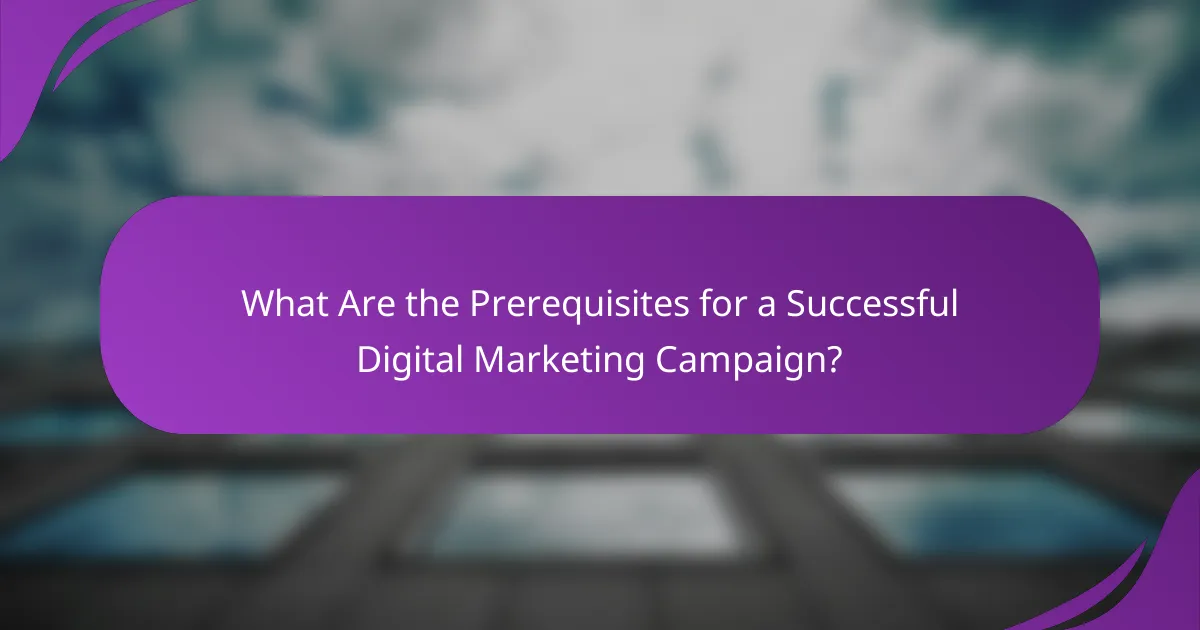 What Are the Prerequisites for a Successful Digital Marketing Campaign?