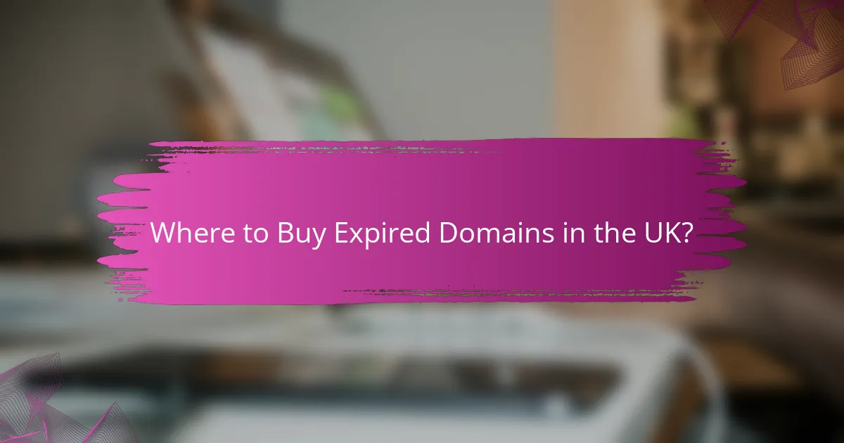 Where to Buy Expired Domains in the UK?
